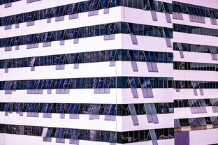 爱游戏平台-体育赛事风险管控体系建设，体育赛事风险防范