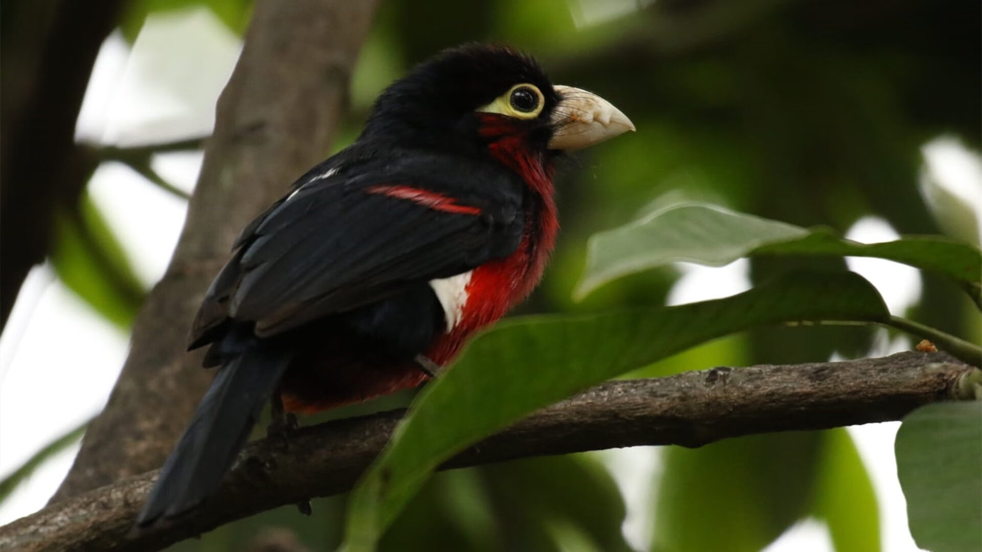 英超球队技术统计助力快速轮换效率提升,英超轮数