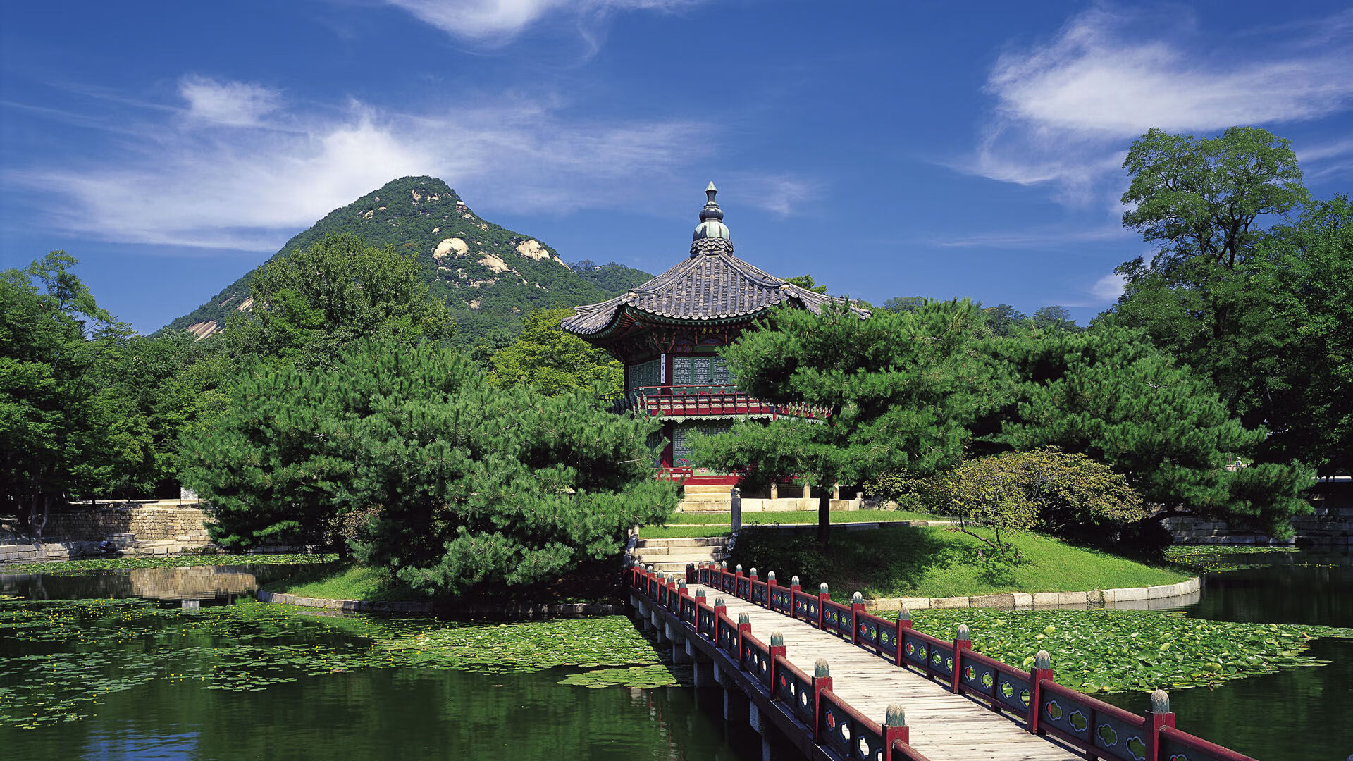 运动装备技术研发项目,运动装备技术研发项目有哪些