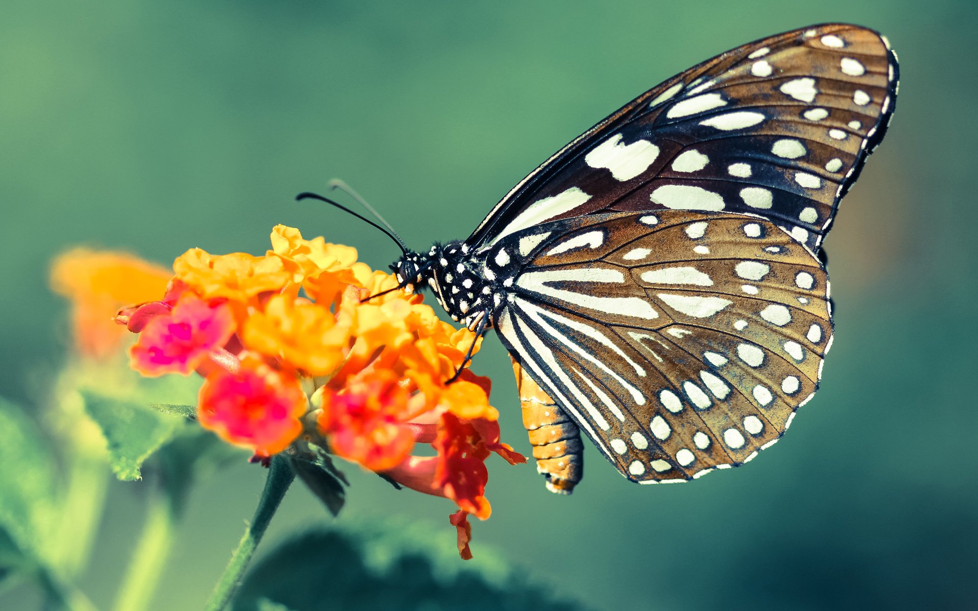 世界围棋赛焦点之战引爆全场,世界围棋大赛总决赛