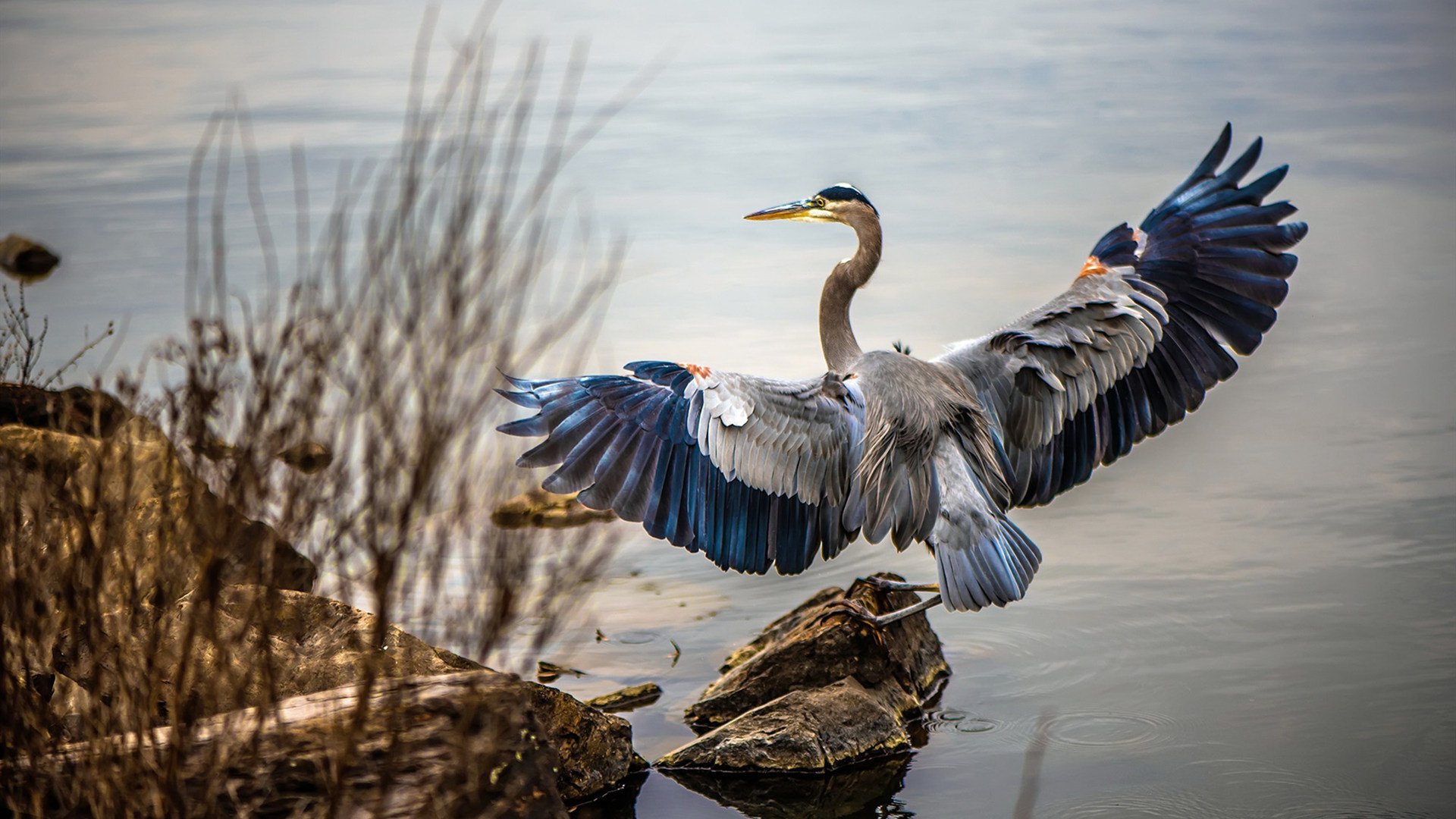 中国女篮主教练强调团队合作 精准执行战术,中国女篮主教练是谁