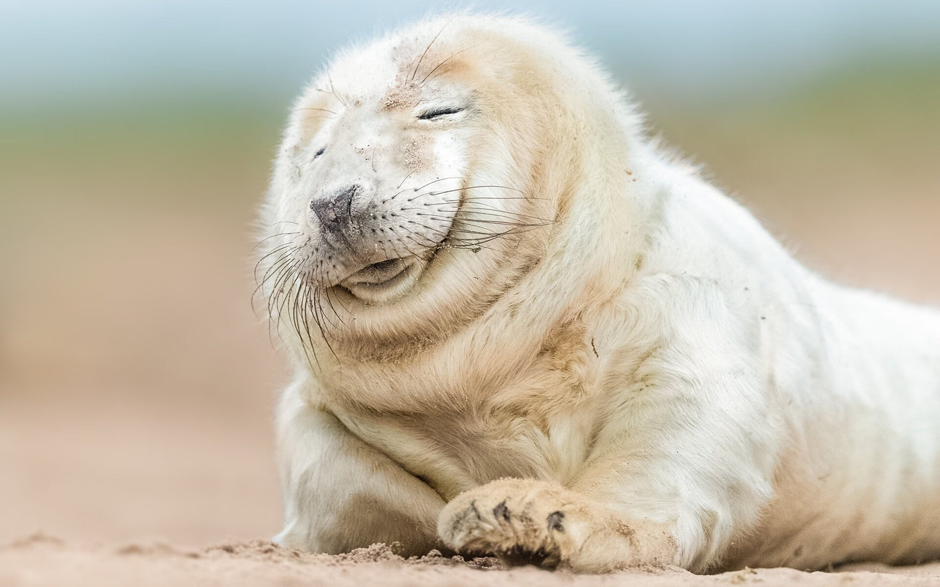 中国射击队新老交替迎战国际赛场,中国射击队最新选拔赛