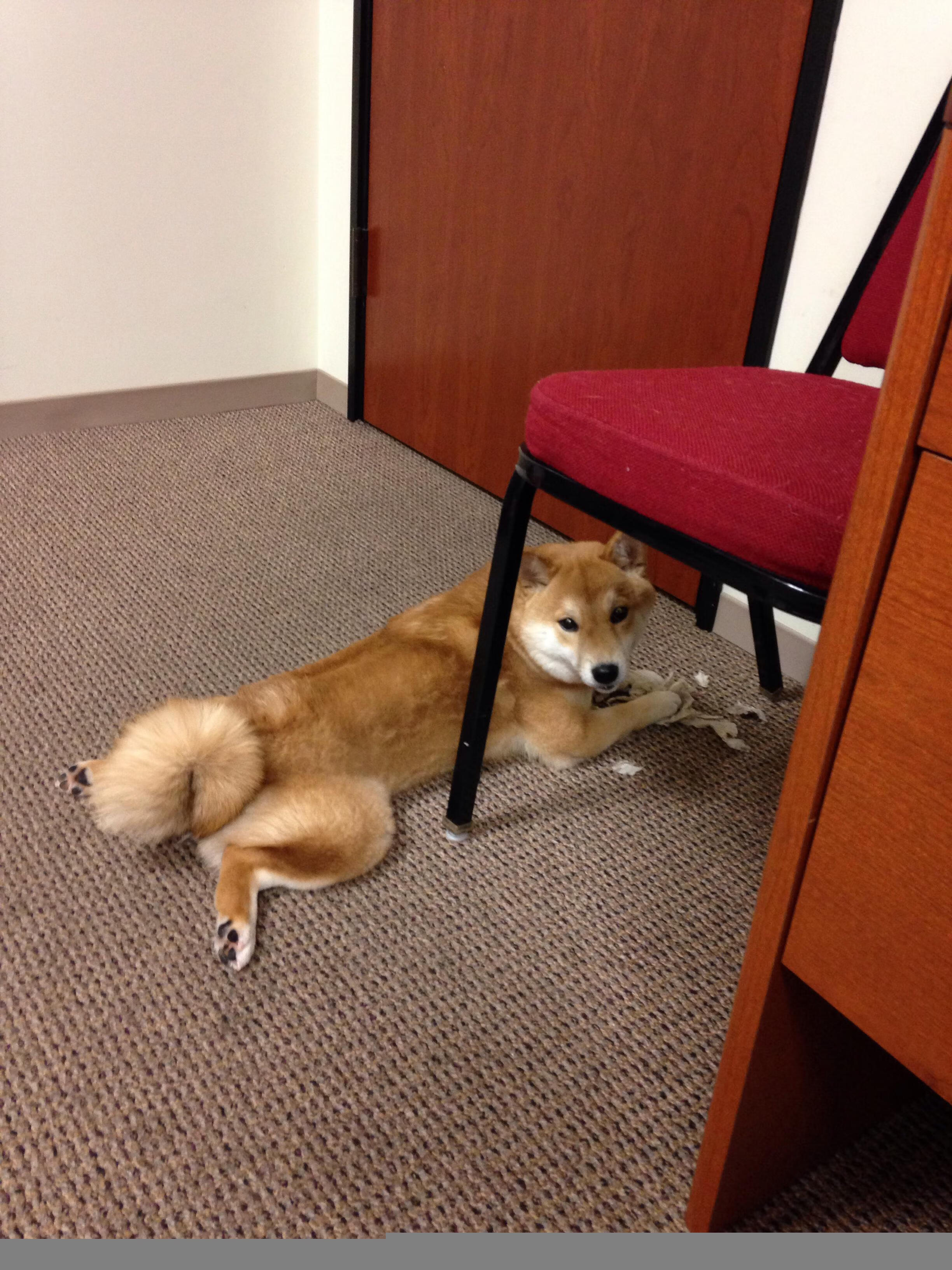 体育新闻中心推动智慧体育内容生态系统建设,体育新闻中心推动智慧体育内容生态系统建设工作