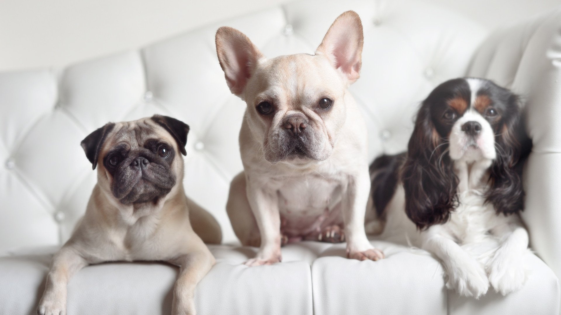 全民健身路径建设结合公园绿地资源，全民健身路径配置原则