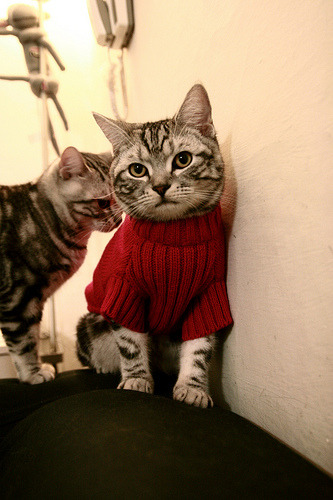 弗赖堡保持防守集中度有效遏制射门,弗赖堡新球场