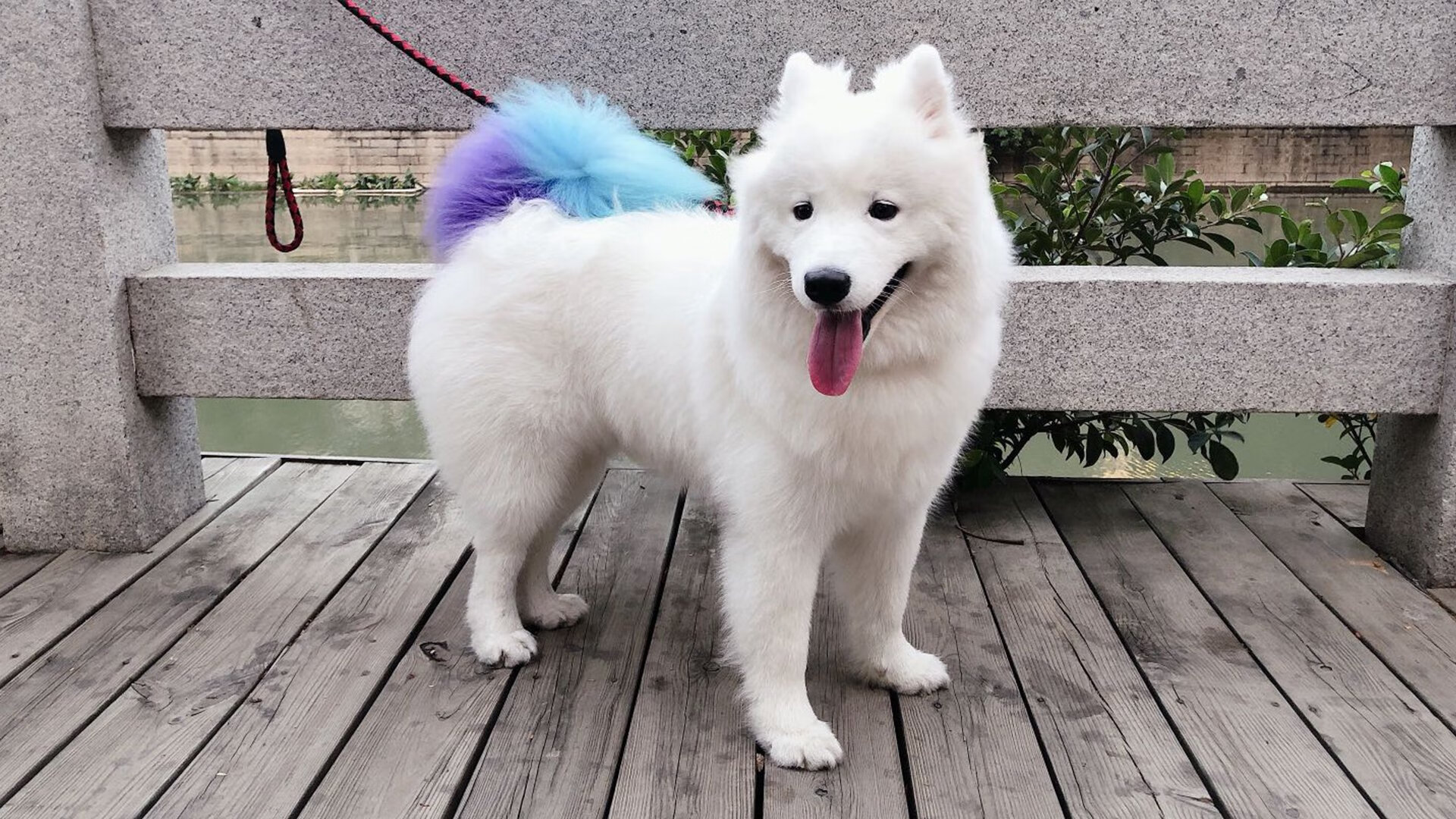 本土教练培养未建立“带教+观察”实战模型