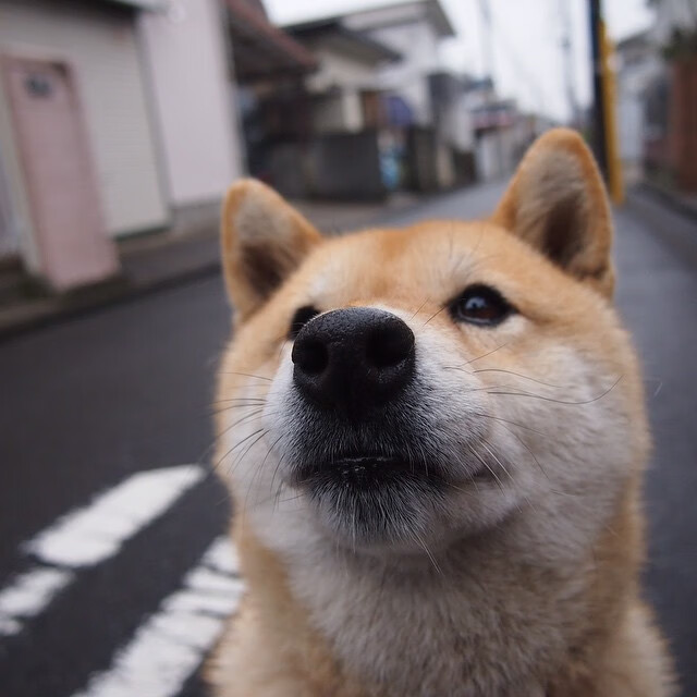 波兰队赛场表现解读：如何在国际乒联混合团体世界杯中取得成功