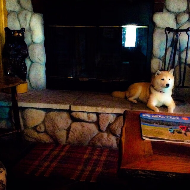 青少年体育联赛联动家长志愿服务平台,青少年体育大联赛