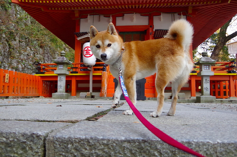 CBA强化青训教练年度考核机制提升教学责任感，cba教练训话