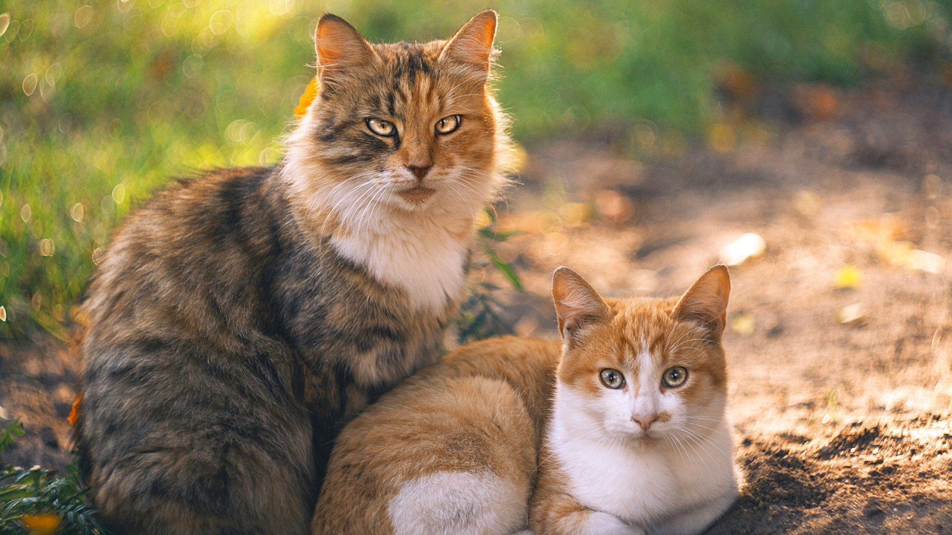 主教练要求球员学会主动沟通提升场上信息传递效率减少误差，球员当主教练