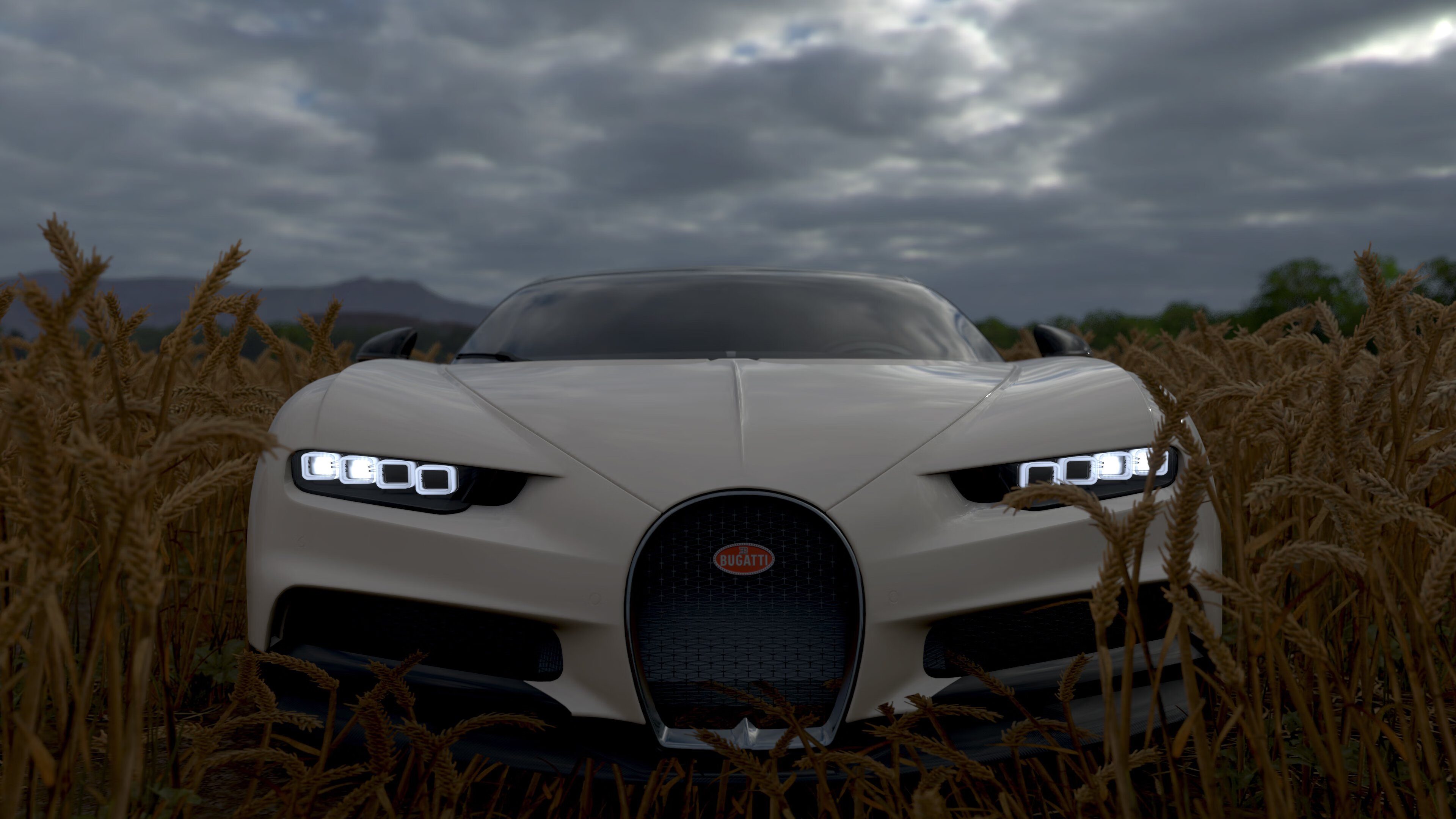 普费夫10米跳台决赛技术完美无瑕