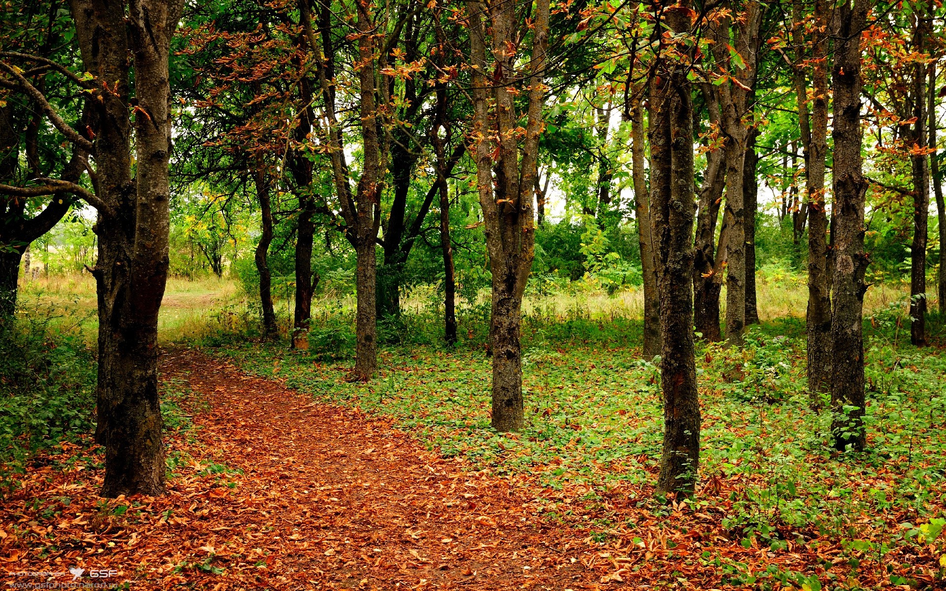欧洲杯变化多端:战术安排引人惊叹!,欧洲杯进阶
