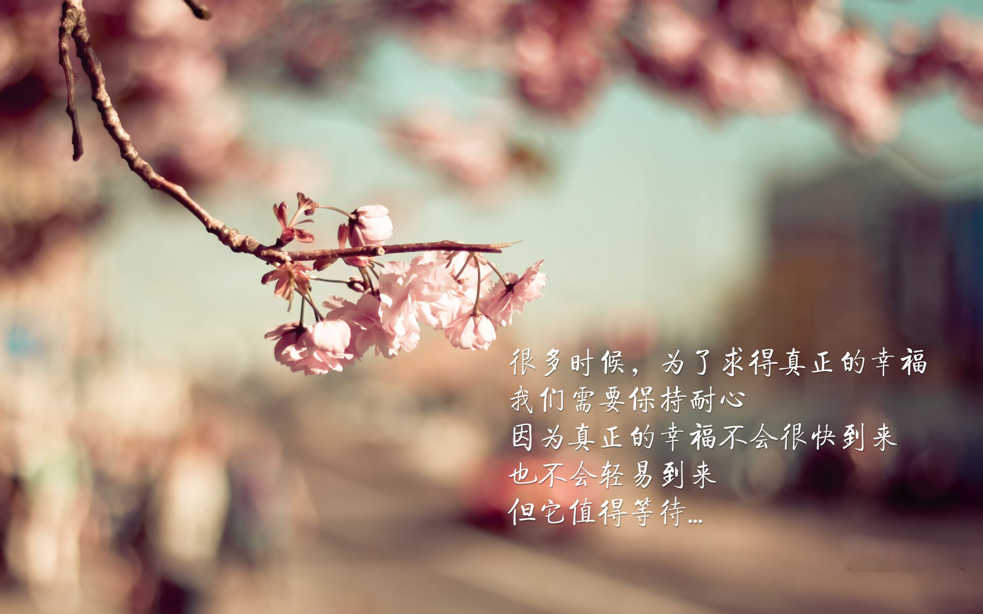 爱游戏官网充值-法甲新星崭露头角：未来韶华！，法甲新logo